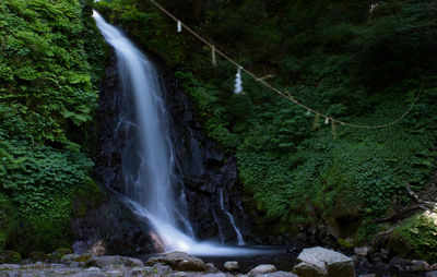 Scenic view of waterfall in forest