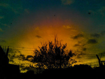 Silhouette of trees against sky at sunset