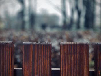 Close-up of metal fence against blurred background