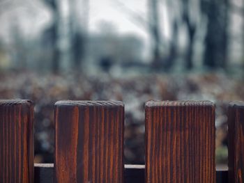 Wooden fence