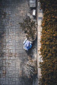 High angle view of plants by wall