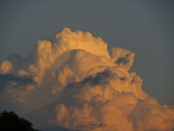 Low angle view of silhouette trees against sky at sunset