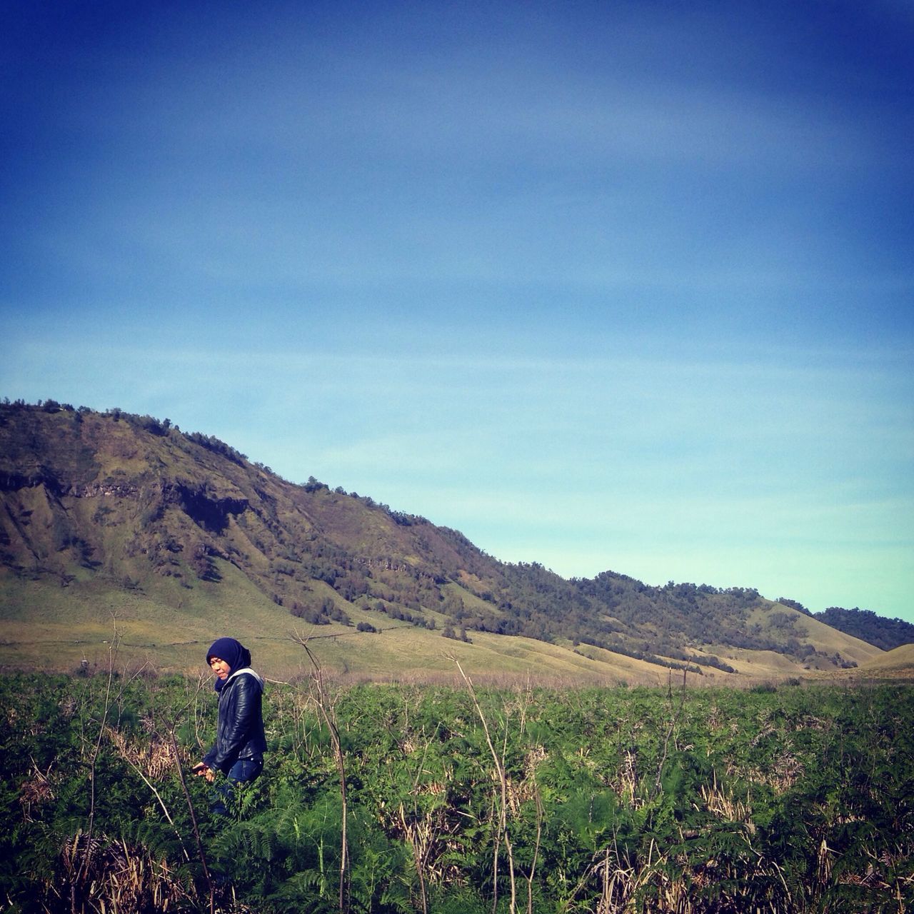 landscape, lifestyles, leisure activity, rear view, tranquility, tranquil scene, scenics, standing, beauty in nature, mountain, field, blue, grass, sky, nature, men, casual clothing, person