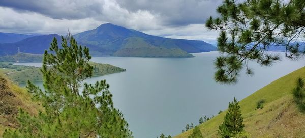 Panoramic view of trees and mountains against sky