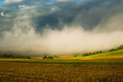 Scenic view of agricultural field against sky