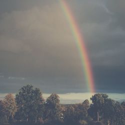 Rainbow over trees against sky