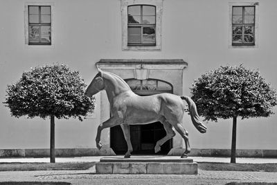View of a horse in a building