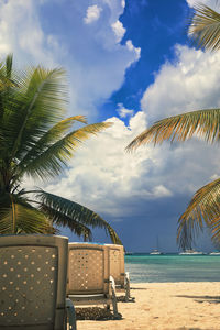 Palm trees on beach against sky