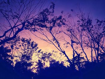 Low angle view of silhouette trees against romantic sky