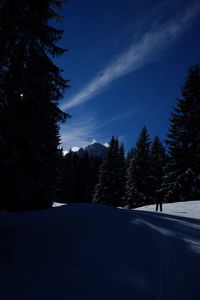 Scenic view of snow covered landscape