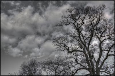 Low angle view of bare trees against cloudy sky