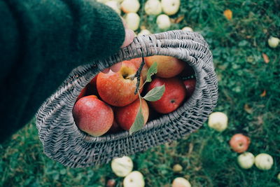 High angle view of apples in basket on field