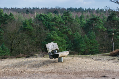 Chair on field against trees in forest