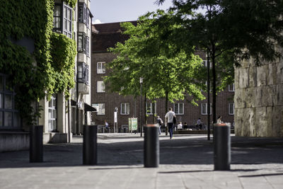 Bollards on walkway by building in city