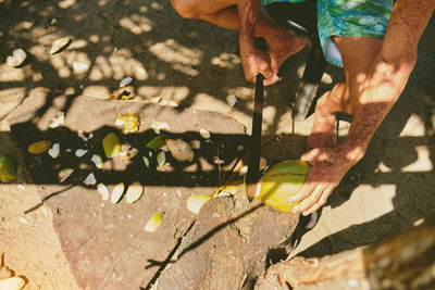 Old man selling coconut at the coconut farm on the way. selective focus.