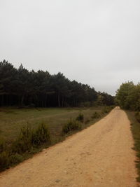 Dirt road passing through field