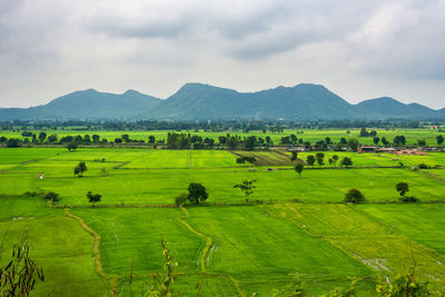 Scenic view of field against sky