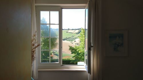 Plants seen through window of house