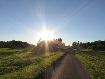 Sun shining through trees on grassy field