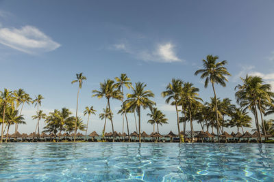 Palm trees by swimming pool against sky