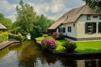 Flowering plants by lake and building against sky