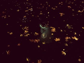 View of illuminated lights at night