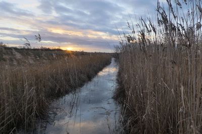 Scenic view of field against sky during sunset