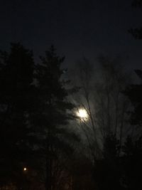 Low angle view of silhouette trees against sky at night