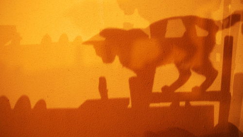 Shadow of silhouette cat against sky during sunset