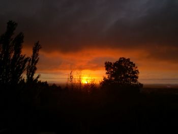 Silhouette trees against sky during sunset