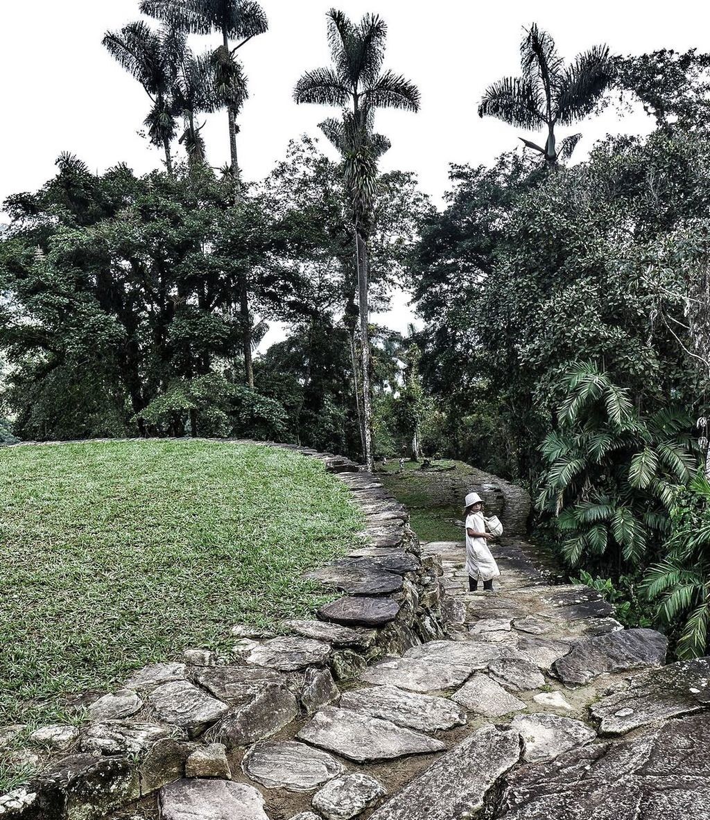 Ciudad Perdida