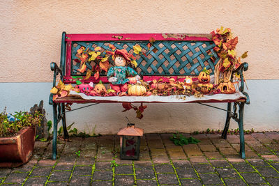 Old wooden bench with autumn decoration.