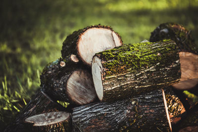 Close up on logs