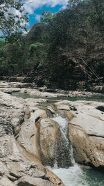 Scenic view of rocks in forest against sky