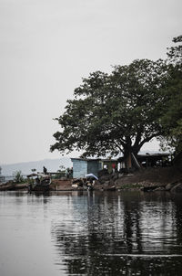 Man on boat against trees against clear sky