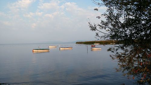 Boats in calm sea against sky