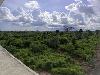 Scenic view of field against sky