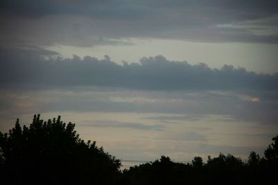 Silhouette trees against sky at sunset