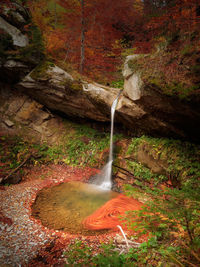 Stream flowing through rocks in forest