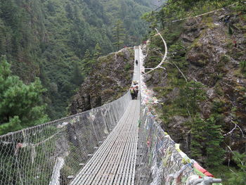 Footbridge over mountain against trees