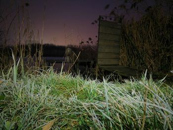 Plants growing on field against sky at night