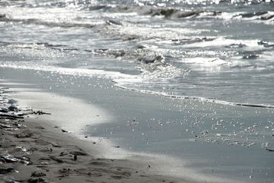 Scenic view of beach