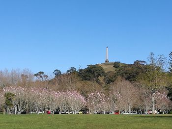 Trees on landscape against clear blue sky