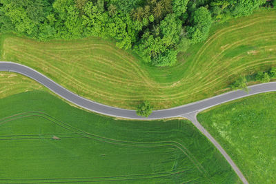 High angle view of agricultural field