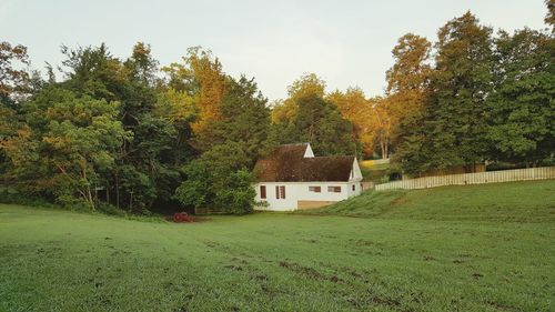 House and trees on green landscape