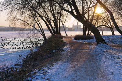 Bare trees by river against sky in winter during sunrise