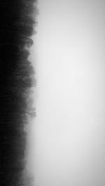 Scenic view of lake in forest against sky