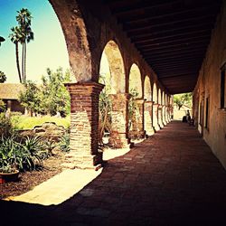 Narrow walkway along trees
