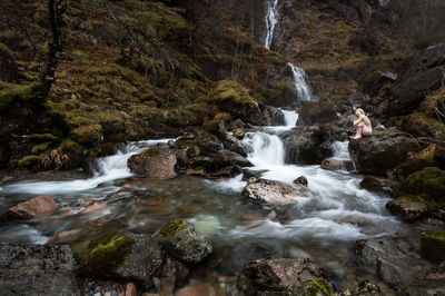 Scenic view of waterfall in forest