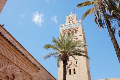 Low angle view of palm trees against sky